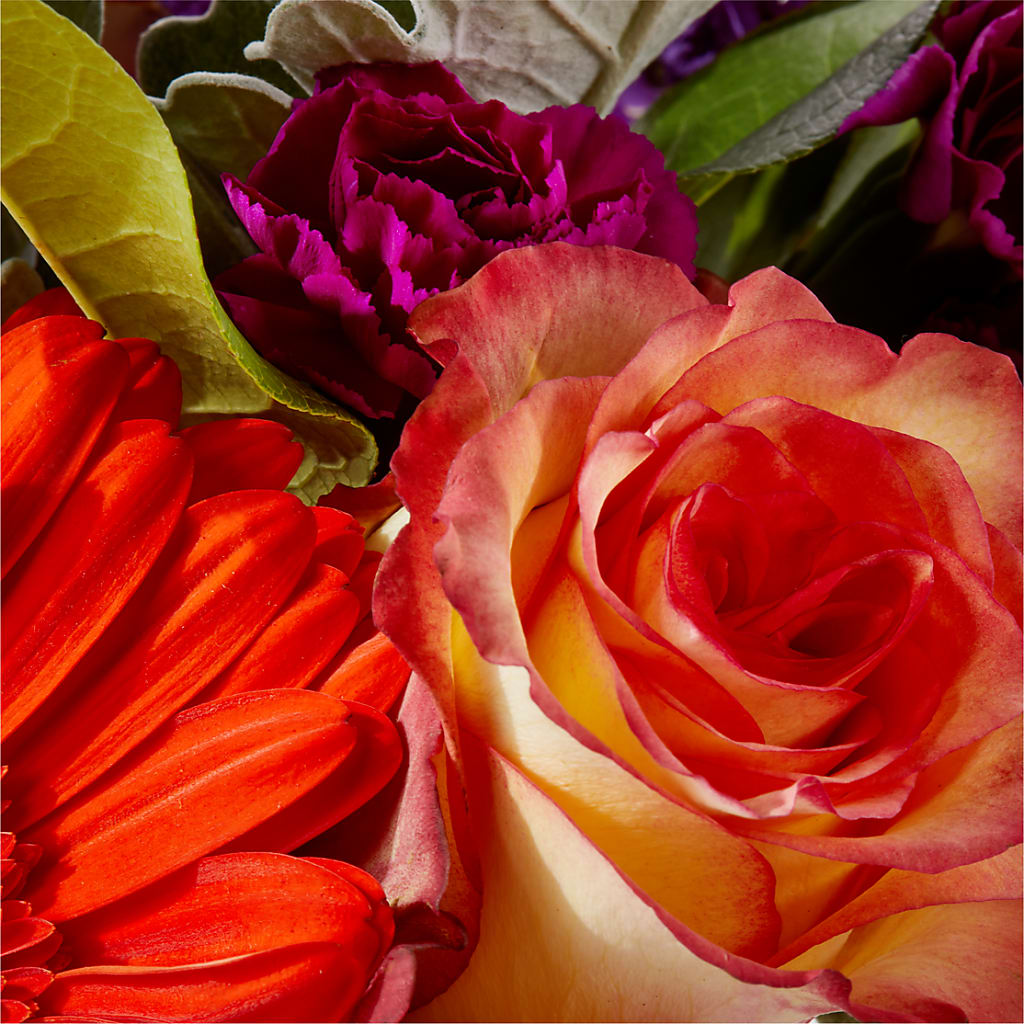 Sangria Bouquet –  Double D Flower Shop, Mercedes TX