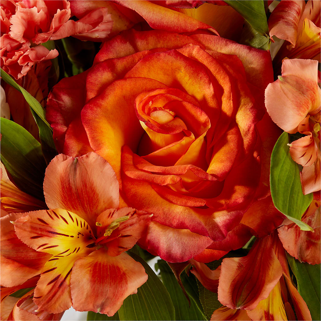 Apricot Glow Bouquet –  Double D Flower Shop, Mercedes TX