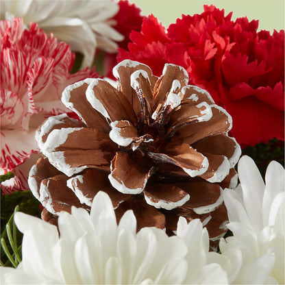 Candy Cane Lane Bouquet –  Double D Flower Shop, Mercedes TX