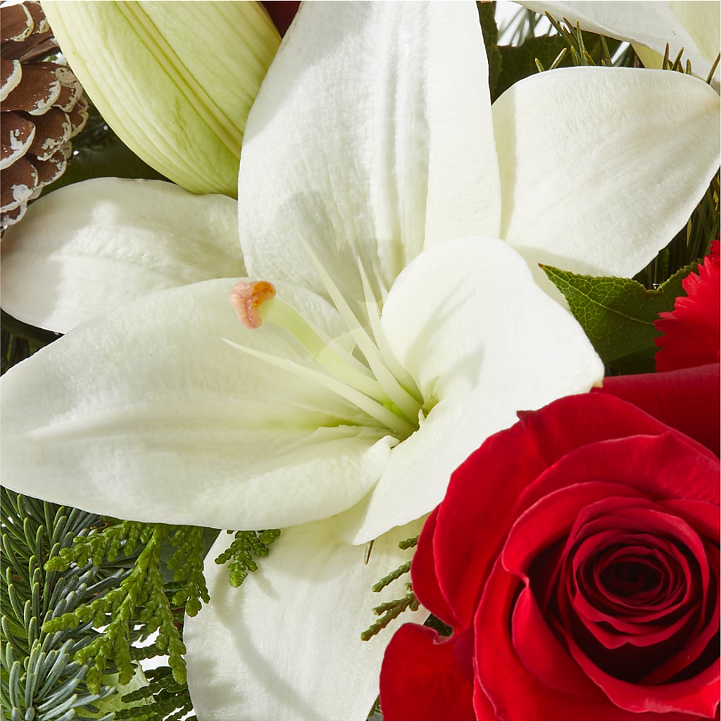Oh So Jolly Bouquet –  Double D Flower Shop, Mercedes TX