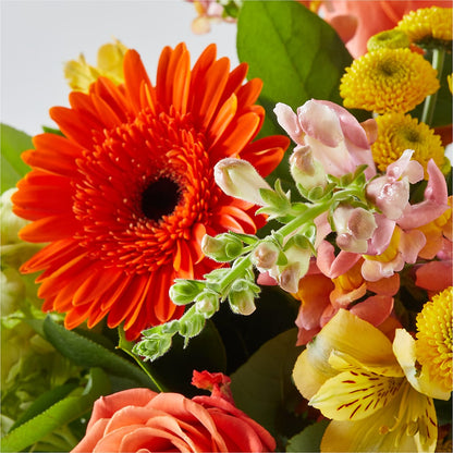Autumn Sunshine Bouquet –  Double D Flower Shop, Mercedes TX