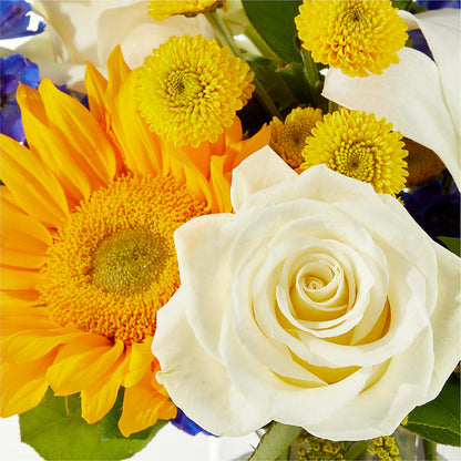 Stargazing Bouquet –  Double D Flower Shop, Mercedes TX