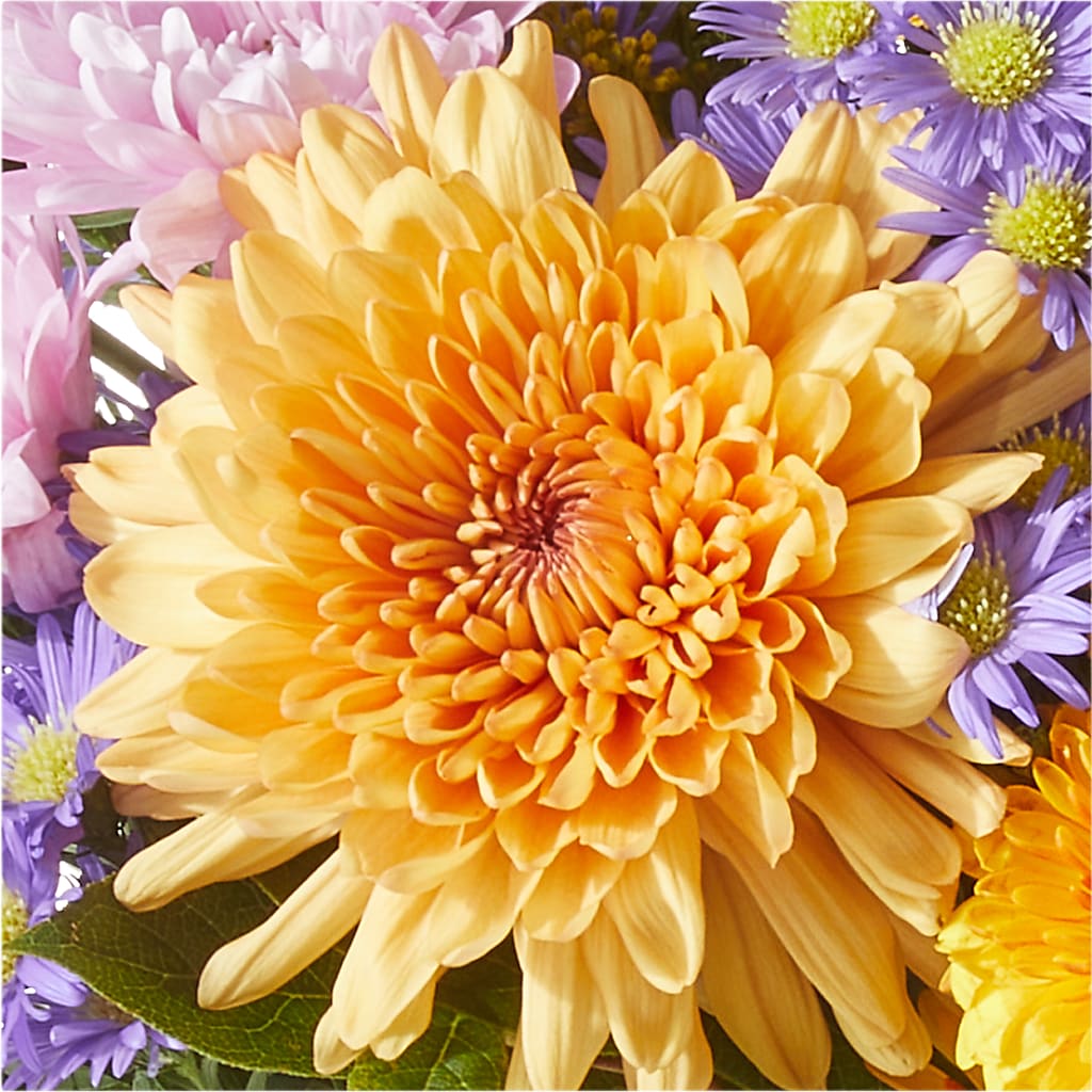 Countryside Bouquet –  Double D Flower Shop, Mercedes TX