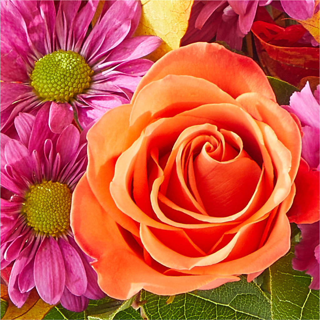 Mum's the Word Bouquet –  Double D Flower Shop, Mercedes TX