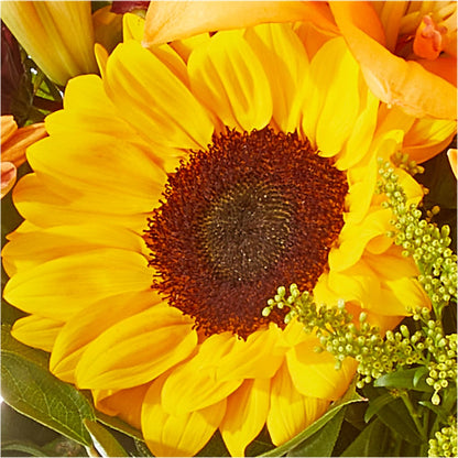 Seasons Change Bouquet –  Double D Flower Shop, Mercedes TX