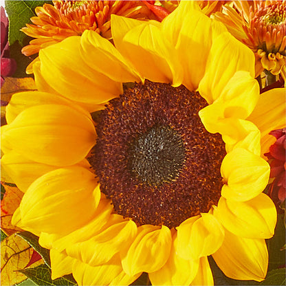 Sunny Side Bouquet –  Double D Flower Shop, Mercedes TX