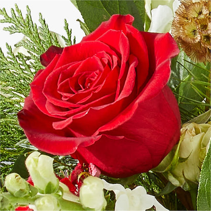 Deck the Halls Bouquet –  Double D Flower Shop, Mercedes TX