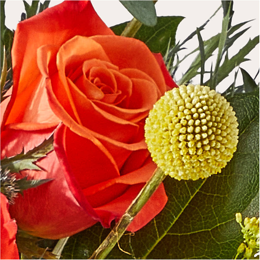 Disco Bouquet –  Double D Flower Shop, Mercedes TX
