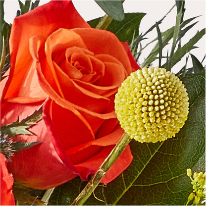 Disco Bouquet –  Double D Flower Shop, Mercedes TX