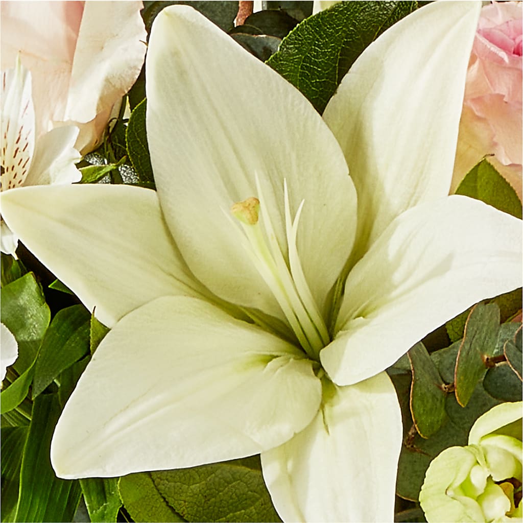 Ballet Slippers Bouquet –  Double D Flower Shop, Mercedes TX