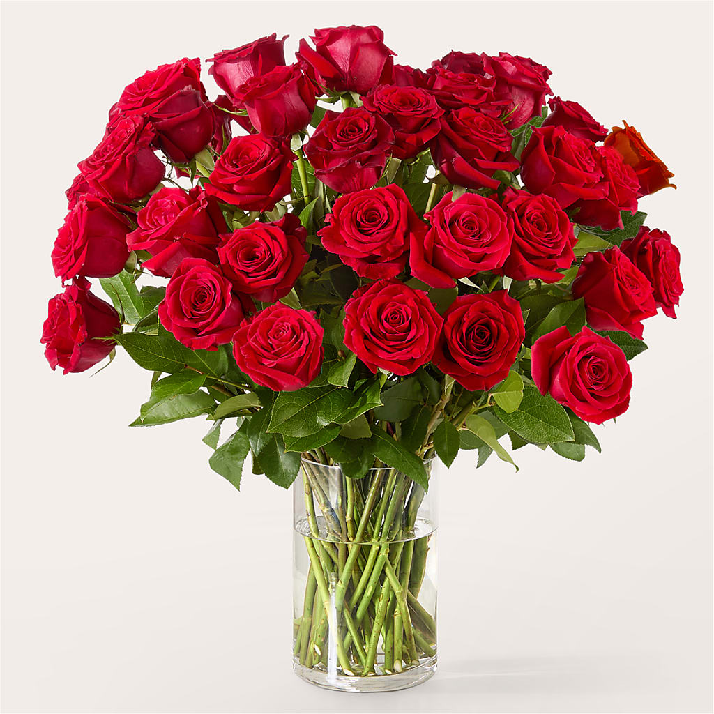 The One Red Rose Bouquet –  Double D Flower Shop, Mercedes TX