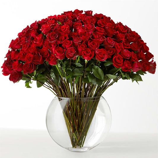The Idealist –  Double D Flower Shop, Mercedes TX