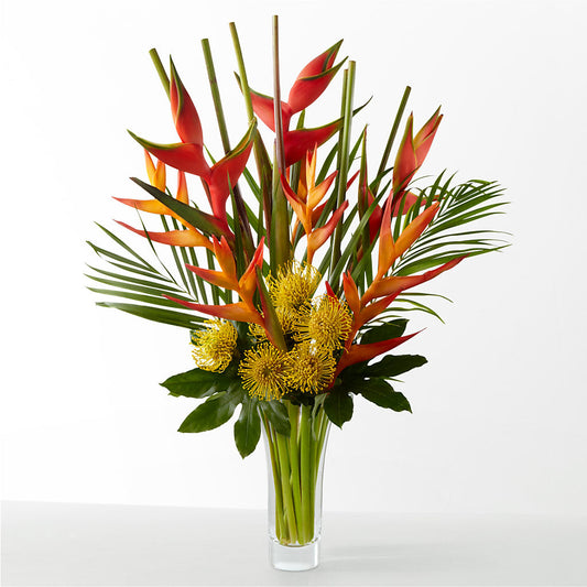 The Drama –  Double D Flower Shop, Mercedes TX