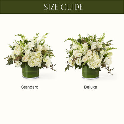 The Gallery –  Double D Flower Shop, Mercedes TX
