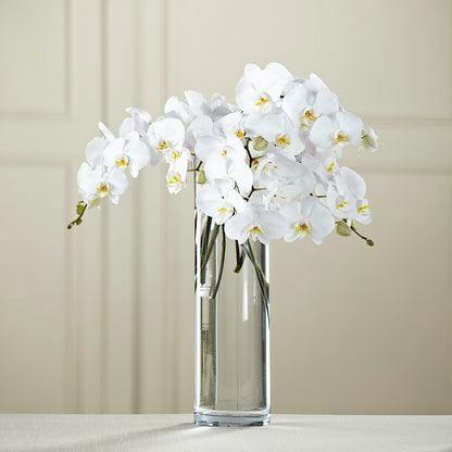 White Phalaenopsis Bouquet –  Double D Flower Shop, Mercedes TX