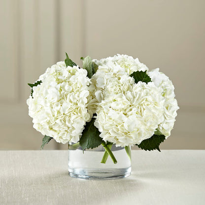 White Hydrangea Bouquet –  Double D Flower Shop, Mercedes TX