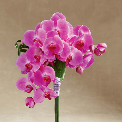 Glorious Bouquet –  Double D Flower Shop, Mercedes TX